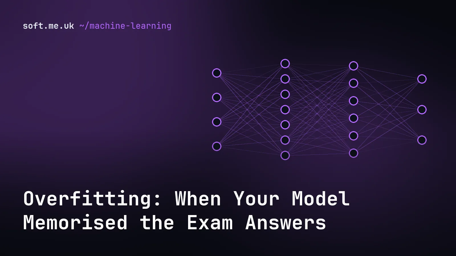Overfitting: When Your Model Memorised the Exam Answers